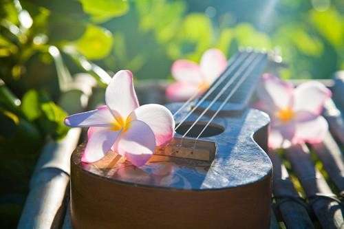 A ukulele with flowers on top of it